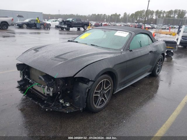 Photo 1 VIN: 1FATP8UH8L5185547 - FORD MUSTANG 