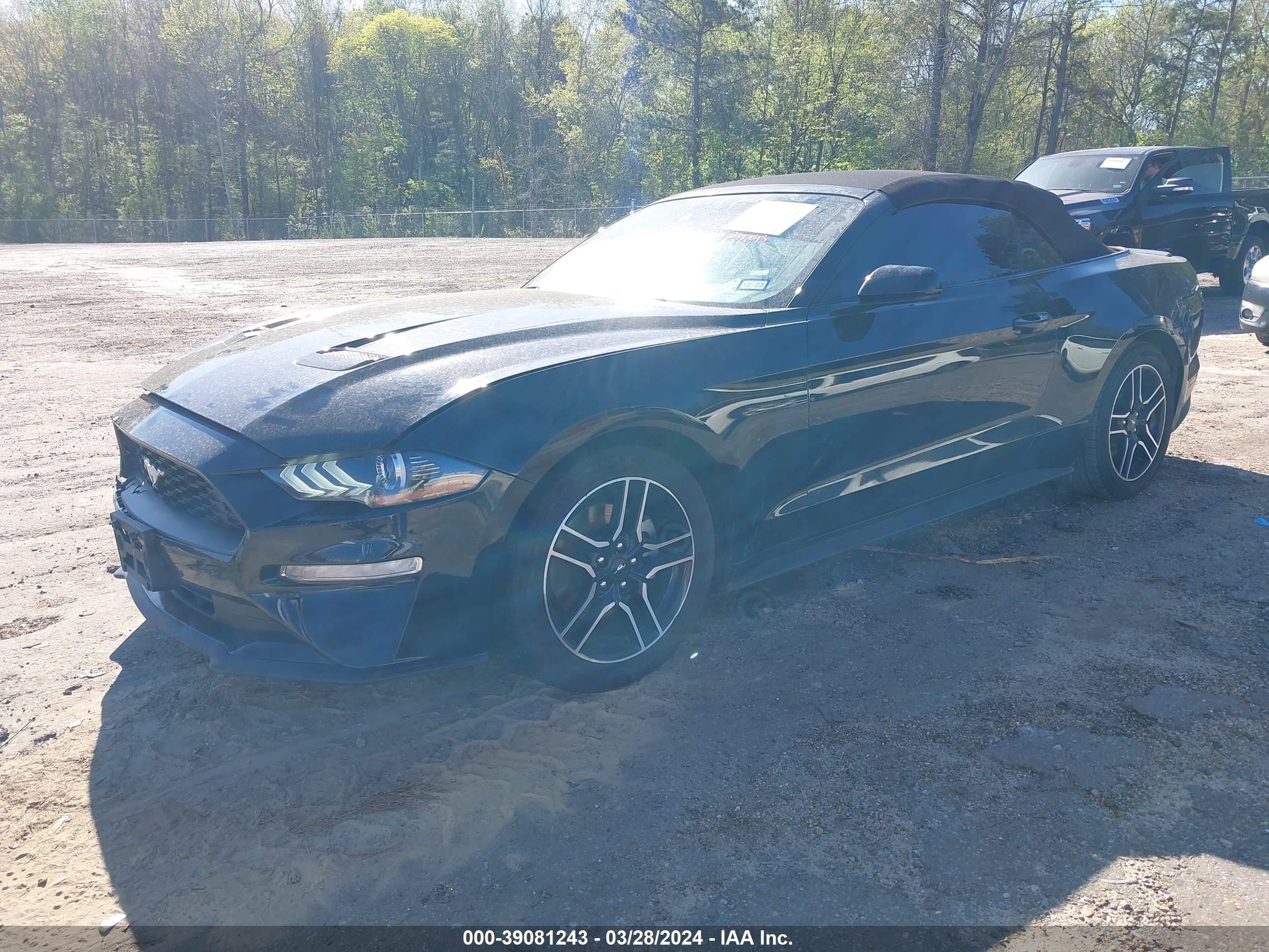 Photo 1 VIN: 1FATP8UH8P5103385 - FORD MUSTANG 