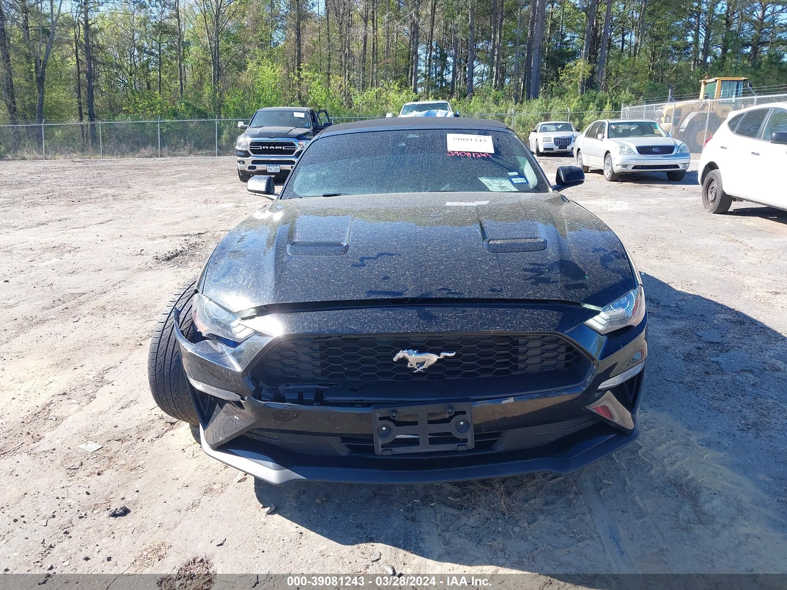 Photo 11 VIN: 1FATP8UH8P5103385 - FORD MUSTANG 