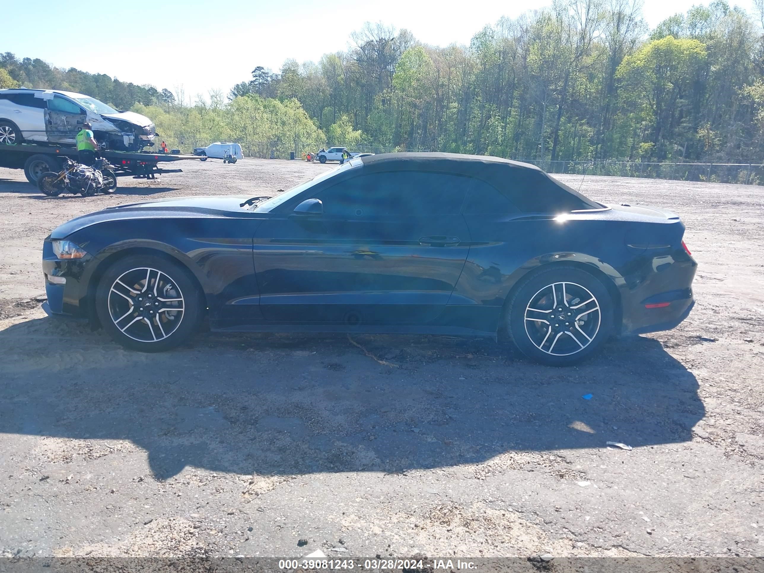 Photo 13 VIN: 1FATP8UH8P5103385 - FORD MUSTANG 