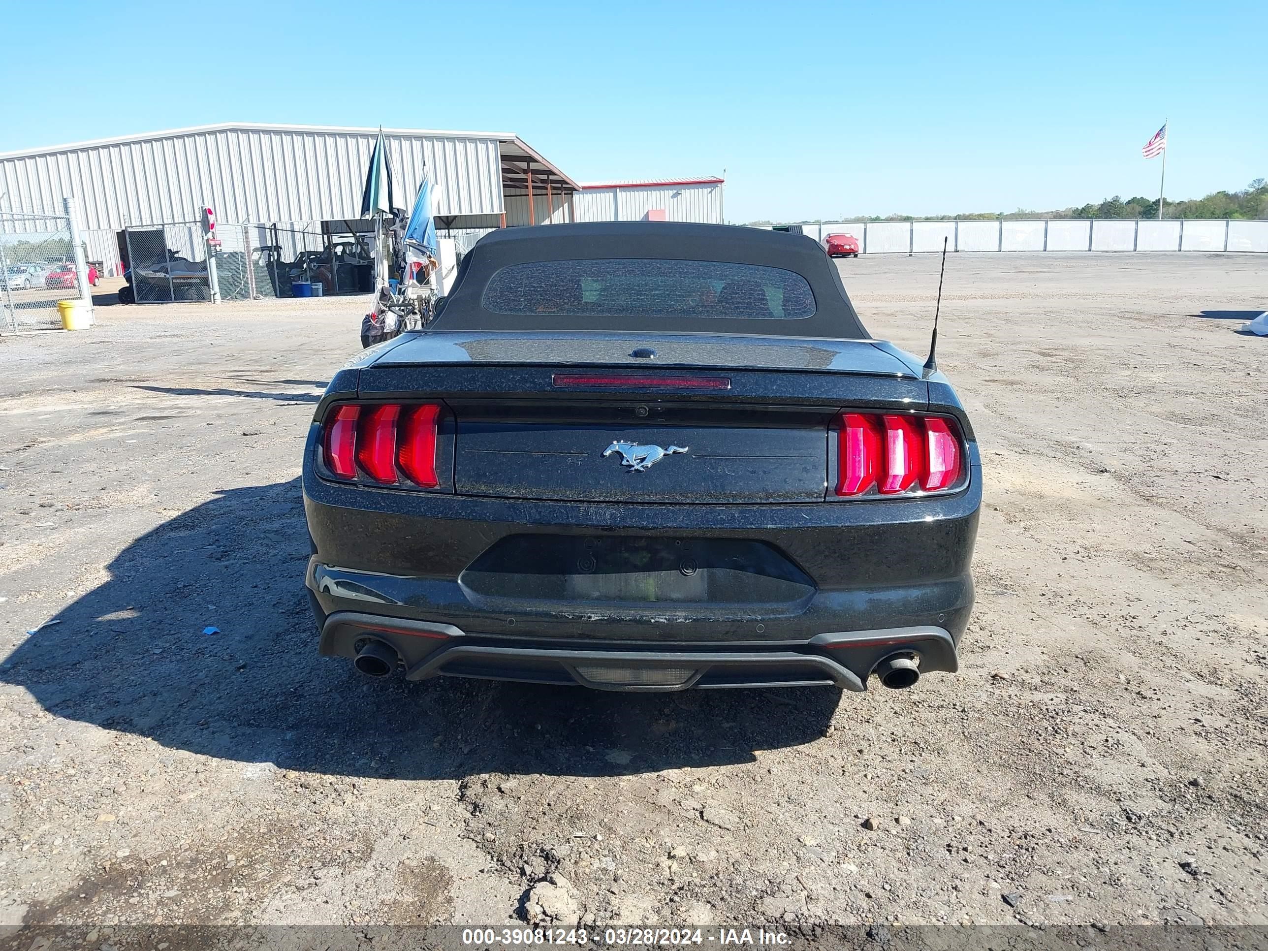 Photo 15 VIN: 1FATP8UH8P5103385 - FORD MUSTANG 