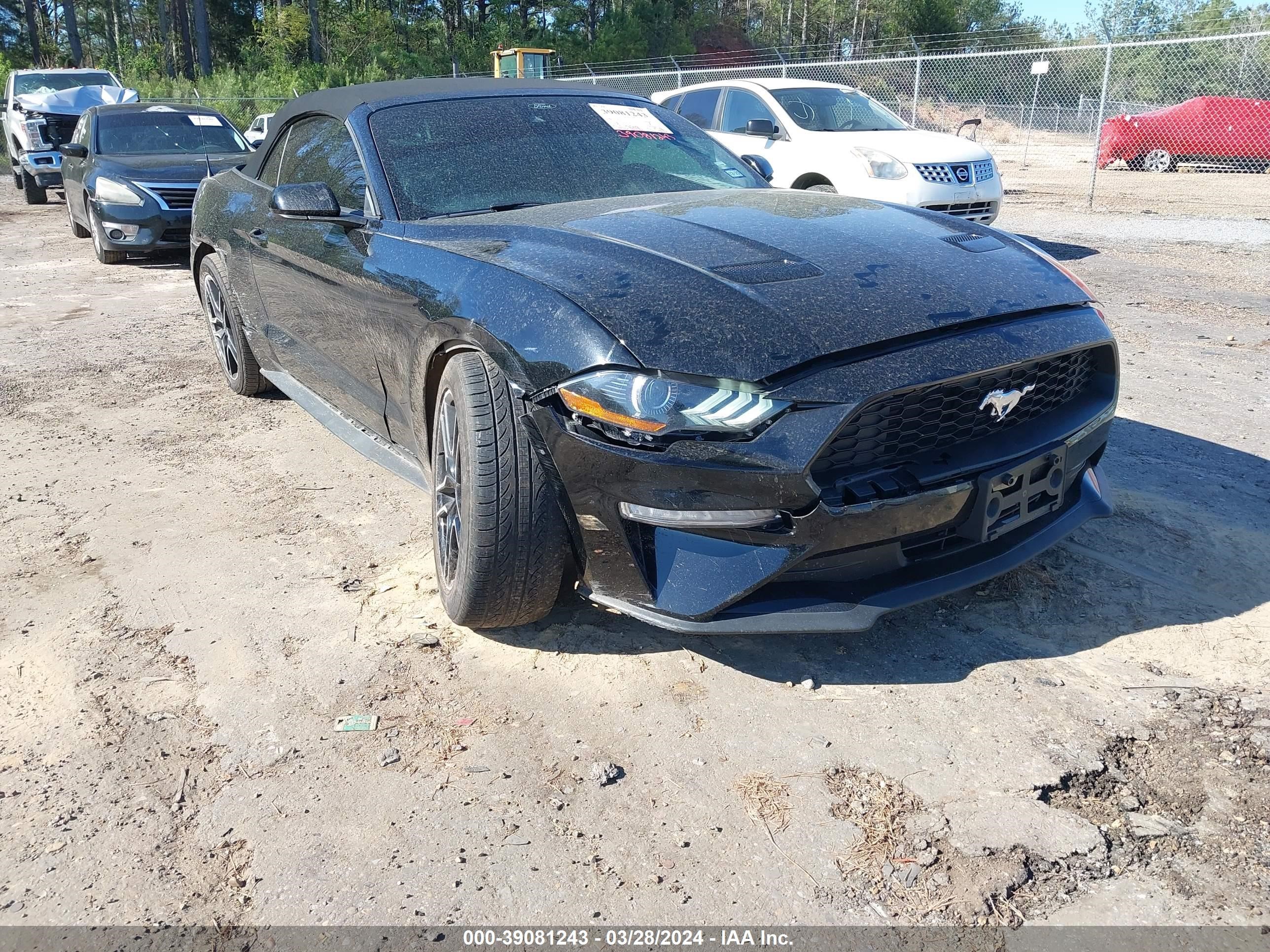 Photo 5 VIN: 1FATP8UH8P5103385 - FORD MUSTANG 