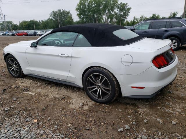 Photo 1 VIN: 1FATP8UH9G5243400 - FORD MUSTANG 