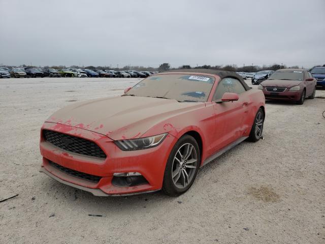 Photo 1 VIN: 1FATP8UH9H5254298 - FORD MUSTANG 