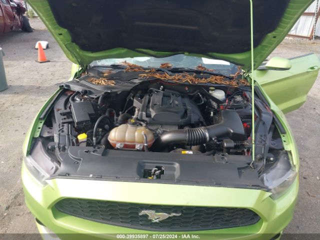 Photo 9 VIN: 1FATP8UH9H5287480 - FORD MUSTANG 