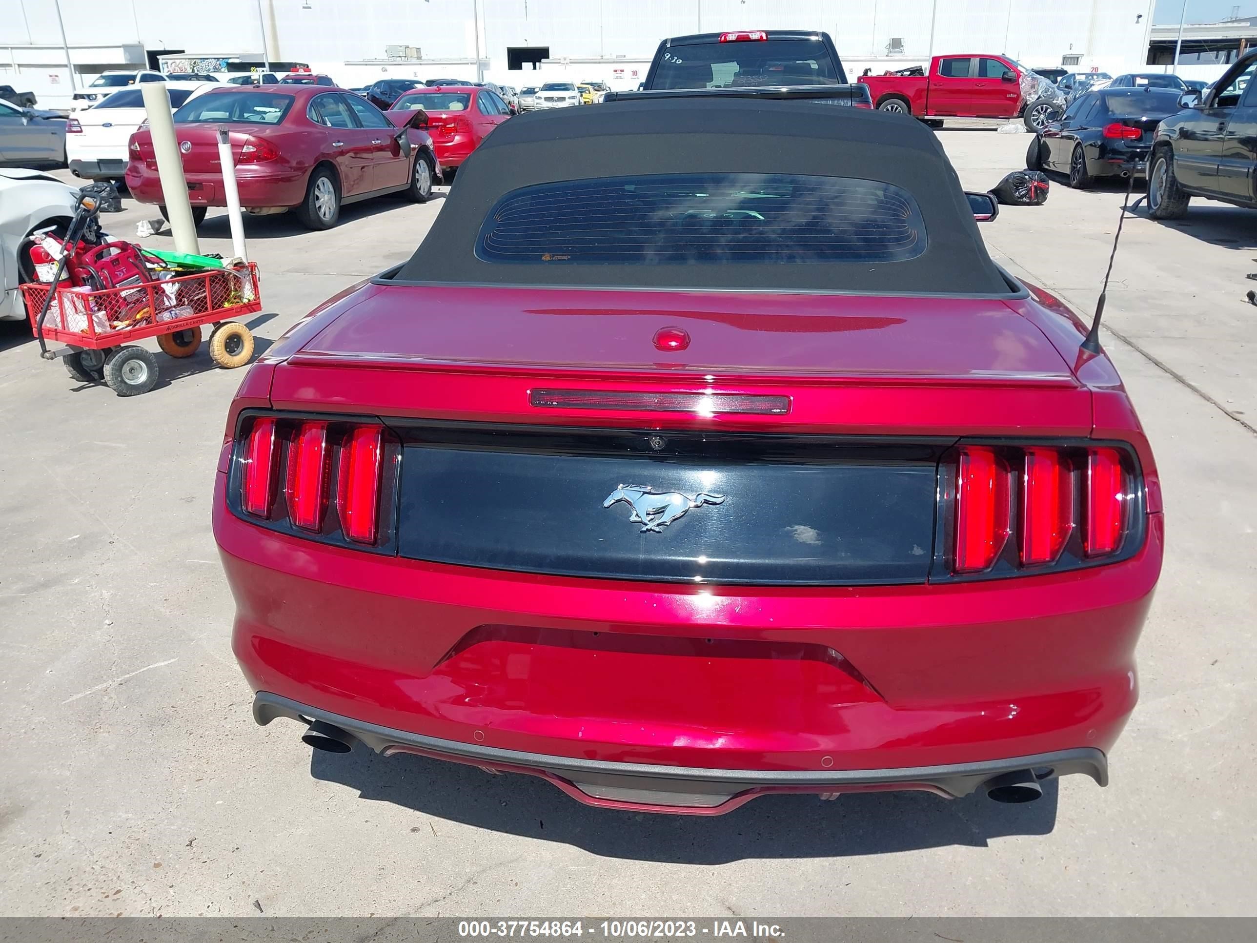 Photo 15 VIN: 1FATP8UH9H5346169 - FORD MUSTANG 