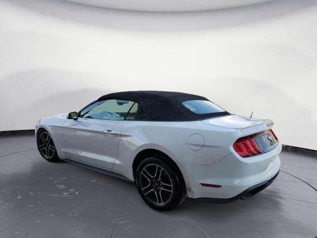 Photo 1 VIN: 1FATP8UH9M5121888 - FORD MUSTANG 