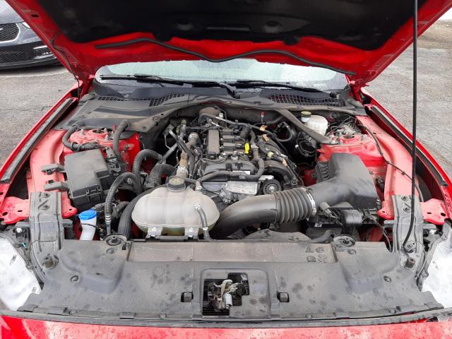 Photo 10 VIN: 1FATP8UH9P5104500 - FORD MUSTANG 