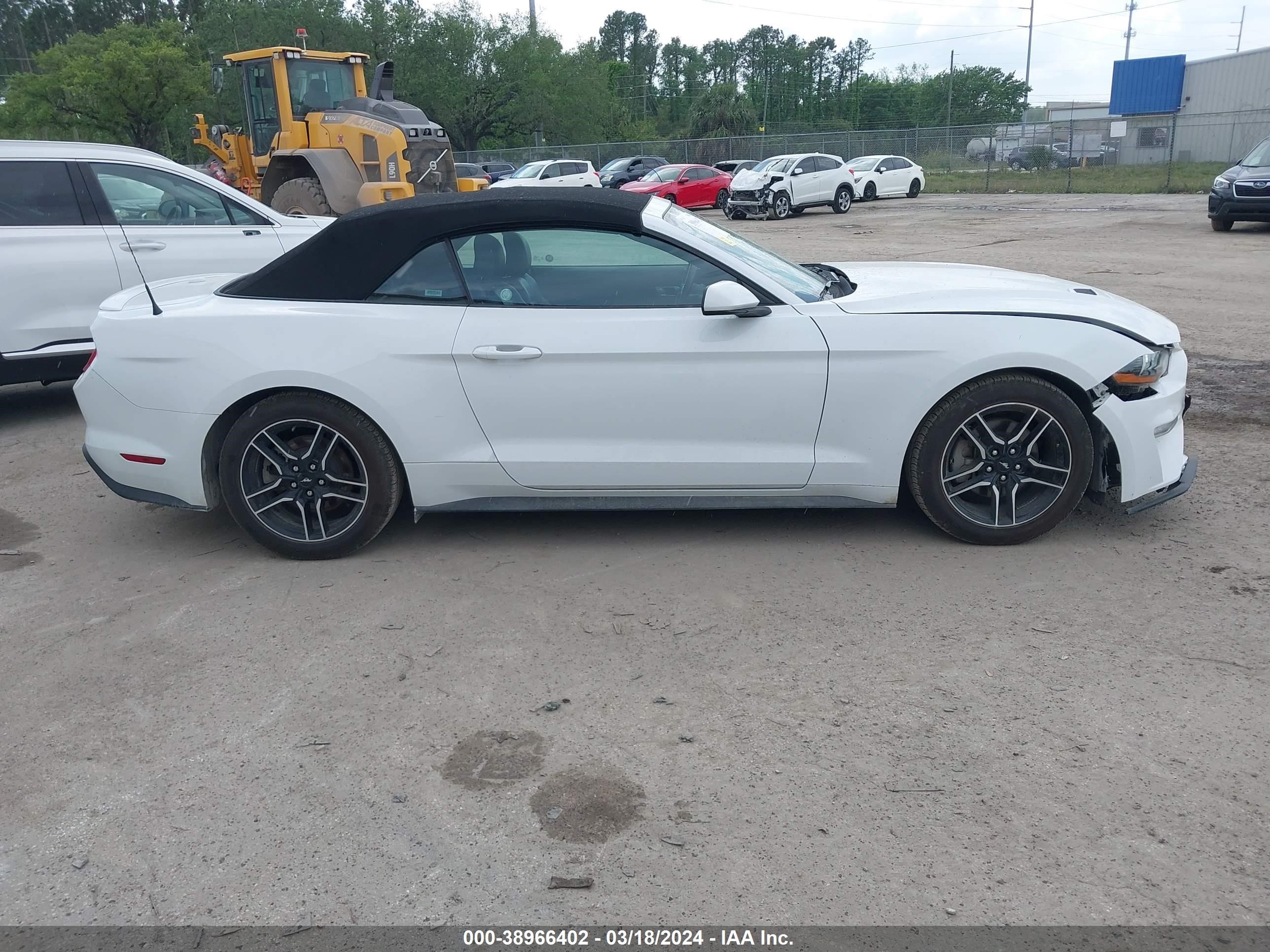 Photo 12 VIN: 1FATP8UH9P5105596 - FORD MUSTANG 