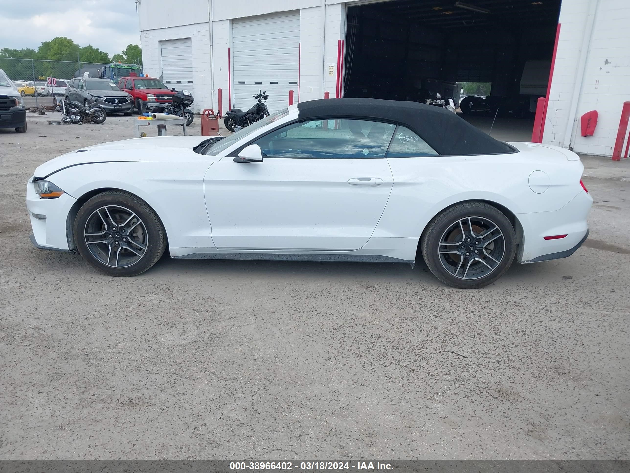 Photo 13 VIN: 1FATP8UH9P5105596 - FORD MUSTANG 