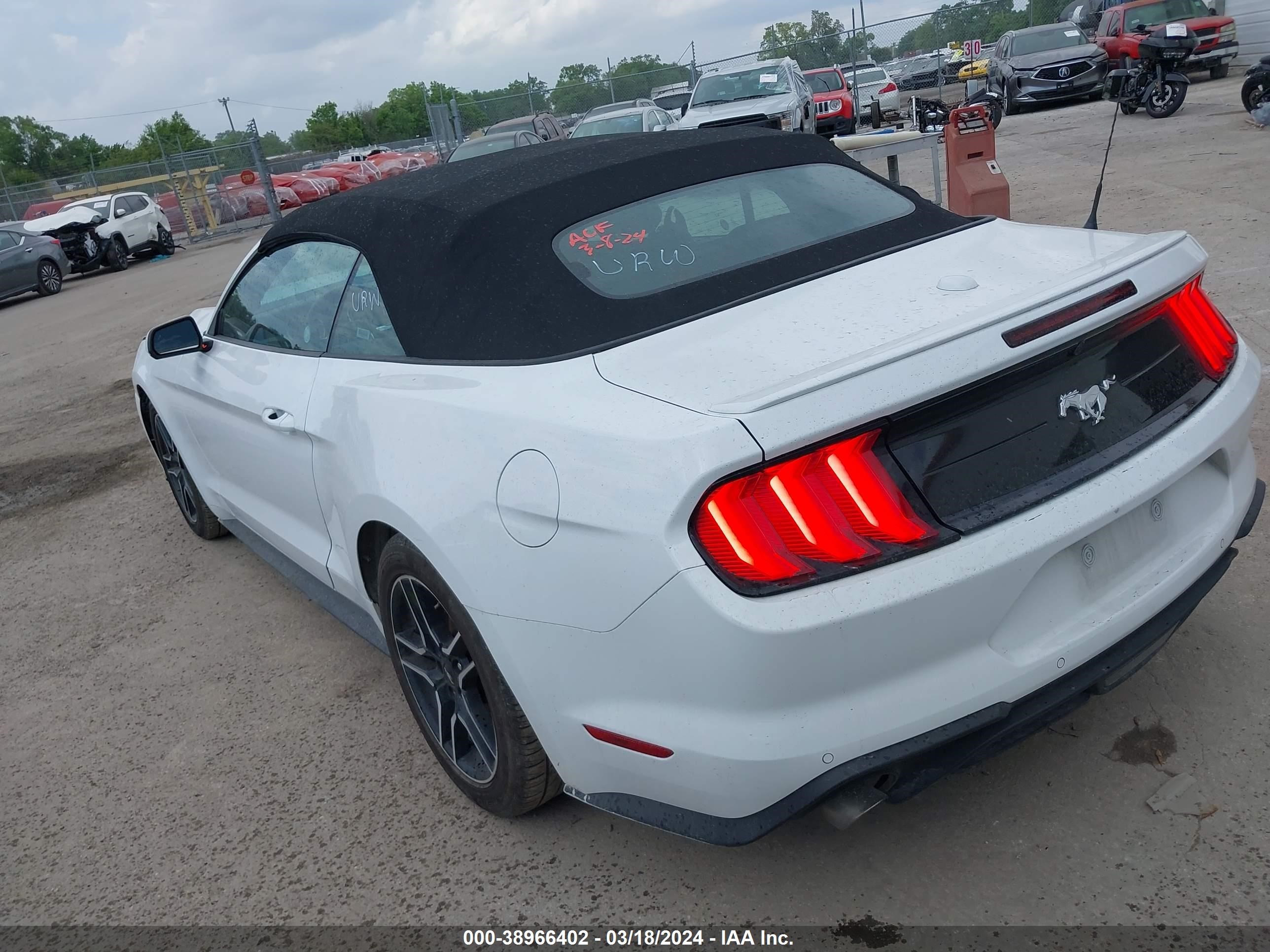 Photo 2 VIN: 1FATP8UH9P5105596 - FORD MUSTANG 