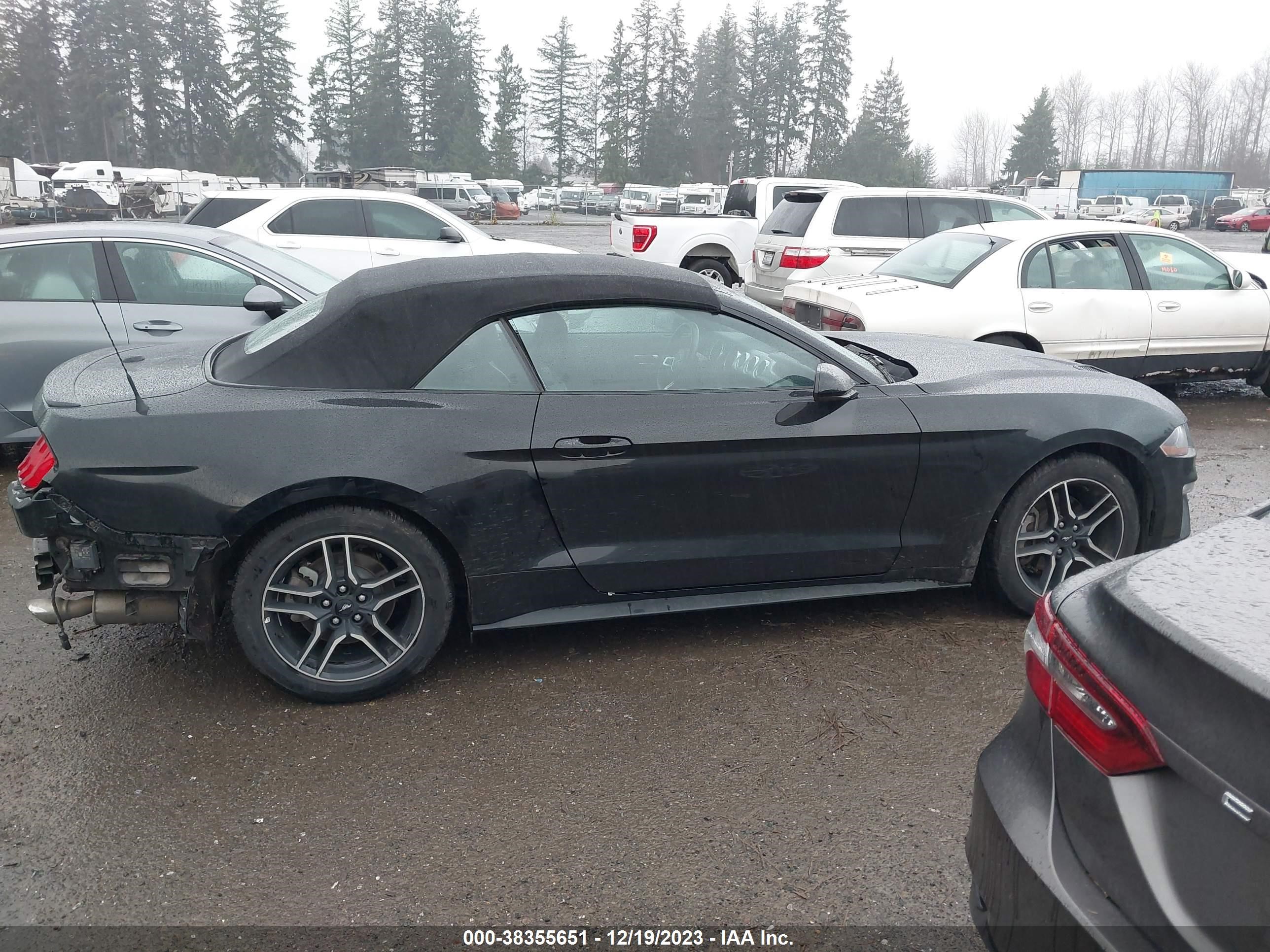 Photo 12 VIN: 1FATP8UH9P5105727 - FORD MUSTANG 