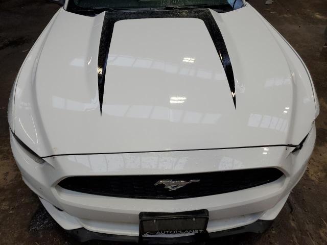 Photo 10 VIN: 1FATP8UHXG5319805 - FORD MUSTANG 