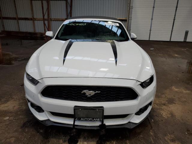 Photo 4 VIN: 1FATP8UHXG5319805 - FORD MUSTANG 