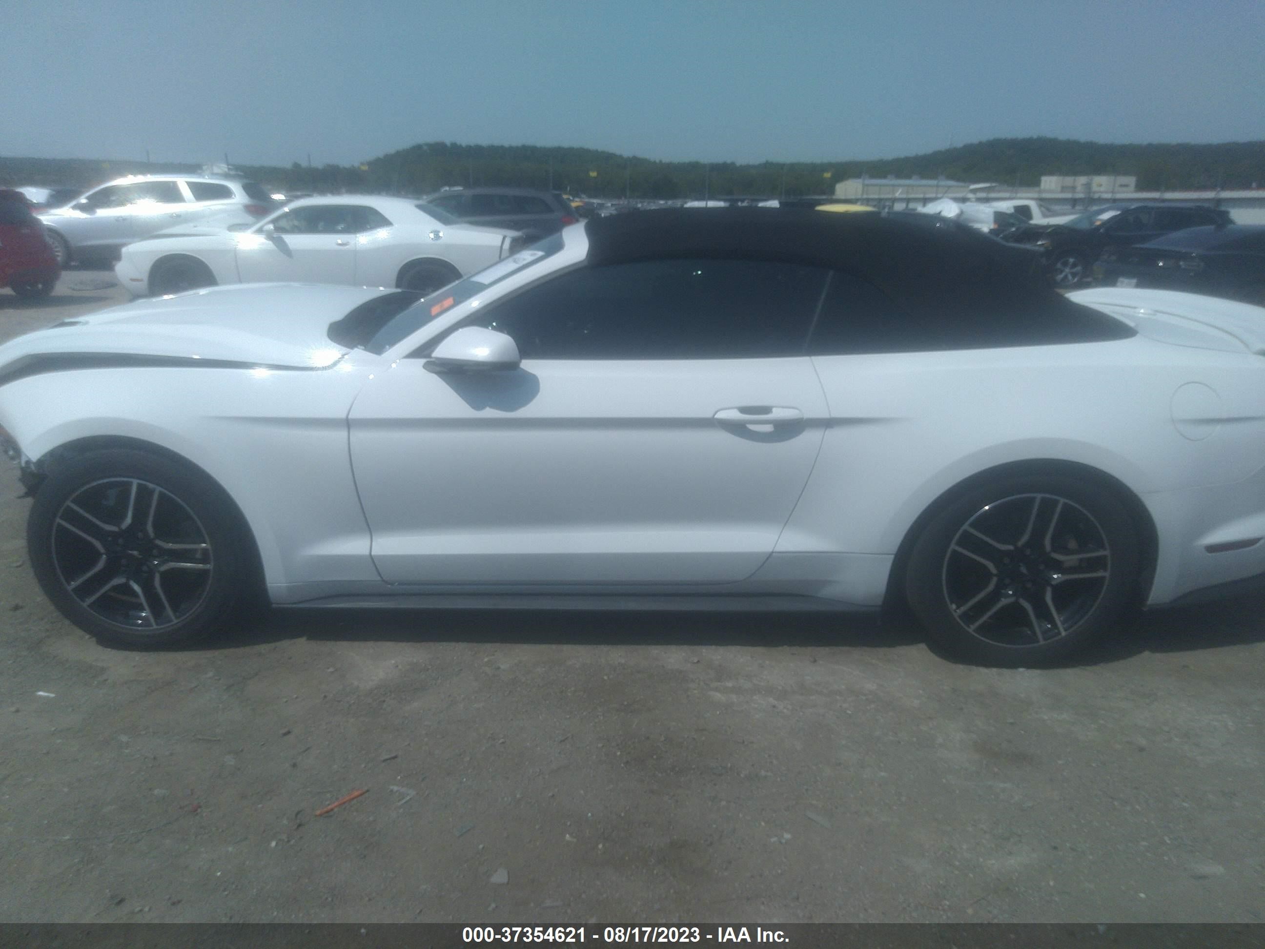 Photo 13 VIN: 1FATP8UHXK5109312 - FORD MUSTANG 