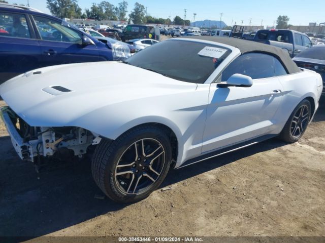 Photo 1 VIN: 1FATP8UHXK5131438 - FORD MUSTANG 