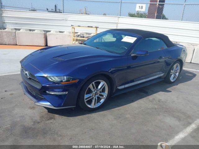 Photo 1 VIN: 1FATP8UHXK5176797 - FORD MUSTANG 