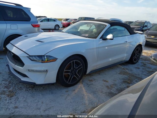 Photo 1 VIN: 1FATP8UHXL5131649 - FORD MUSTANG 