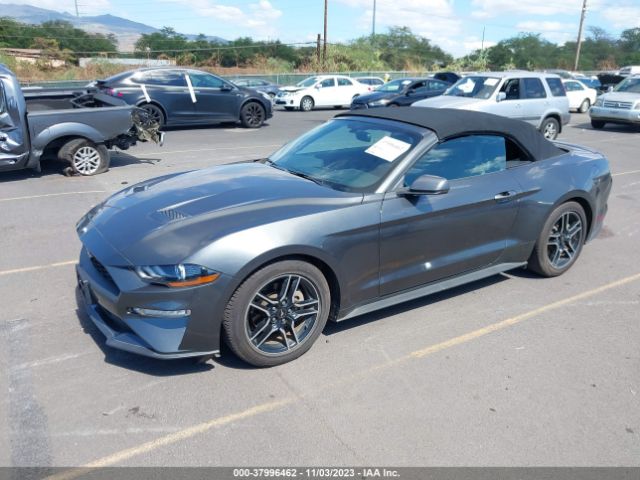 Photo 1 VIN: 1FATP8UHXL5135135 - FORD MUSTANG 