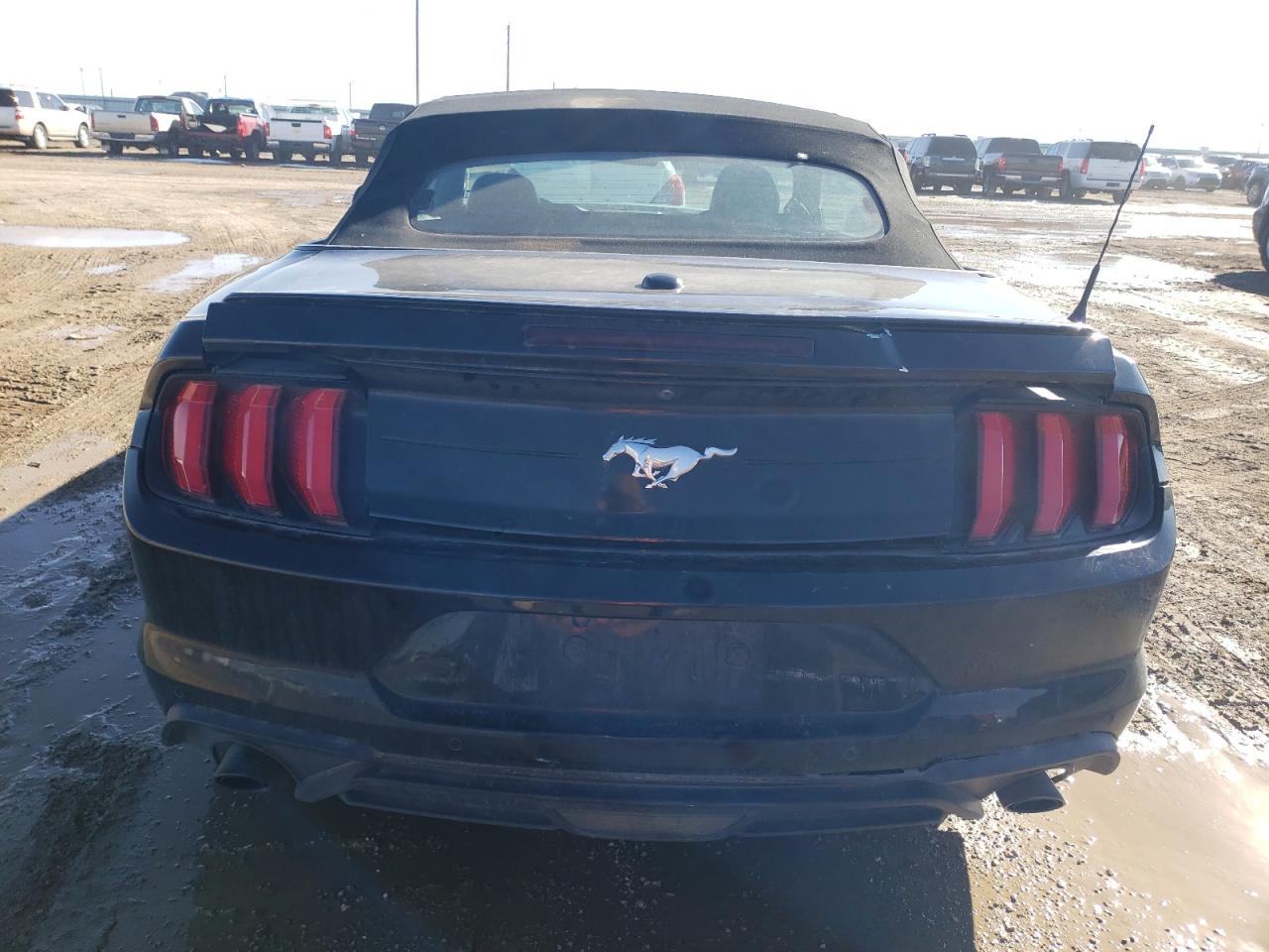 Photo 5 VIN: 1FATP8UHXM5102413 - FORD MUSTANG 