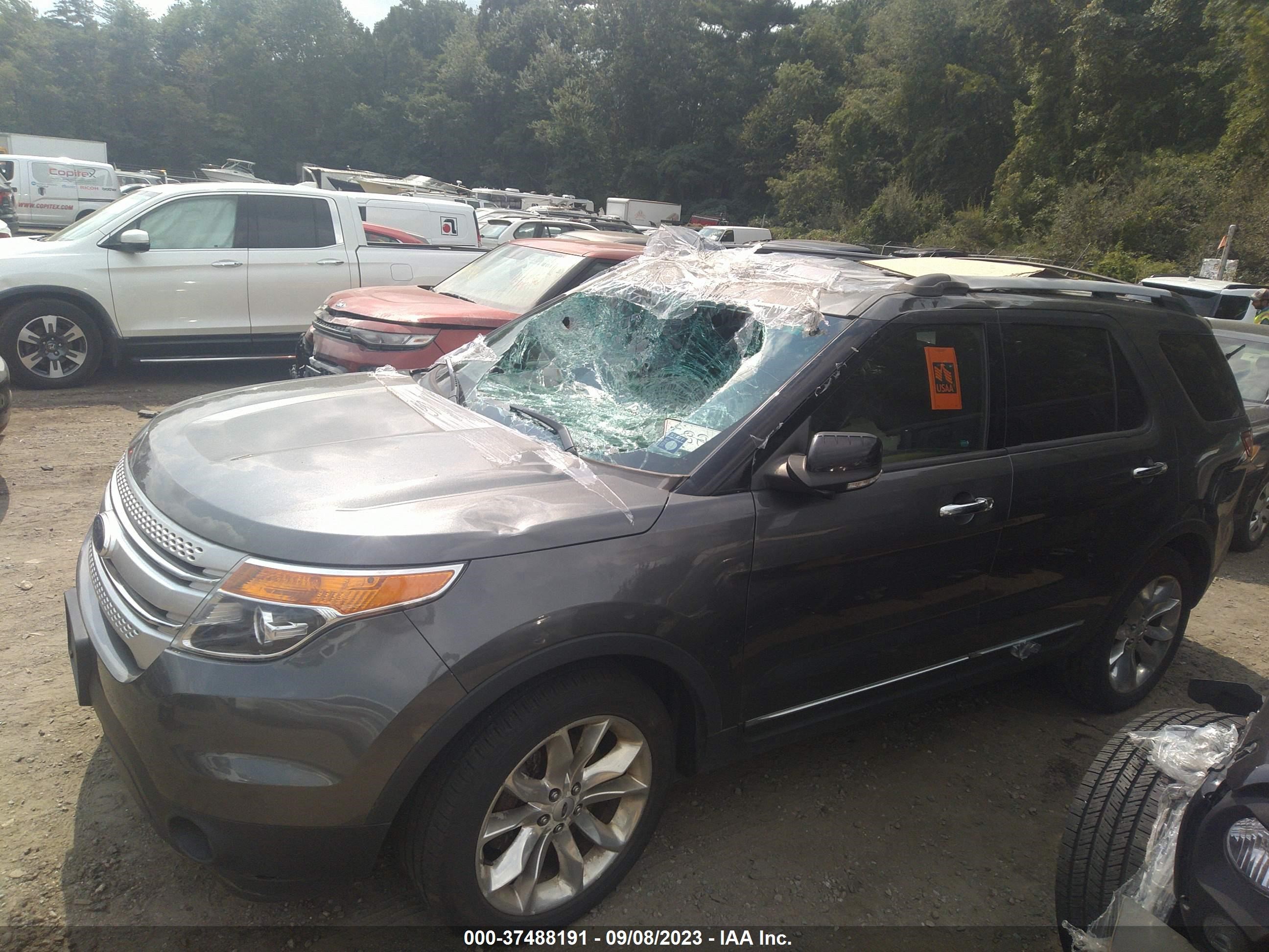 Photo 13 VIN: 1FM5K8D82FGC14241 - FORD EXPLORER 