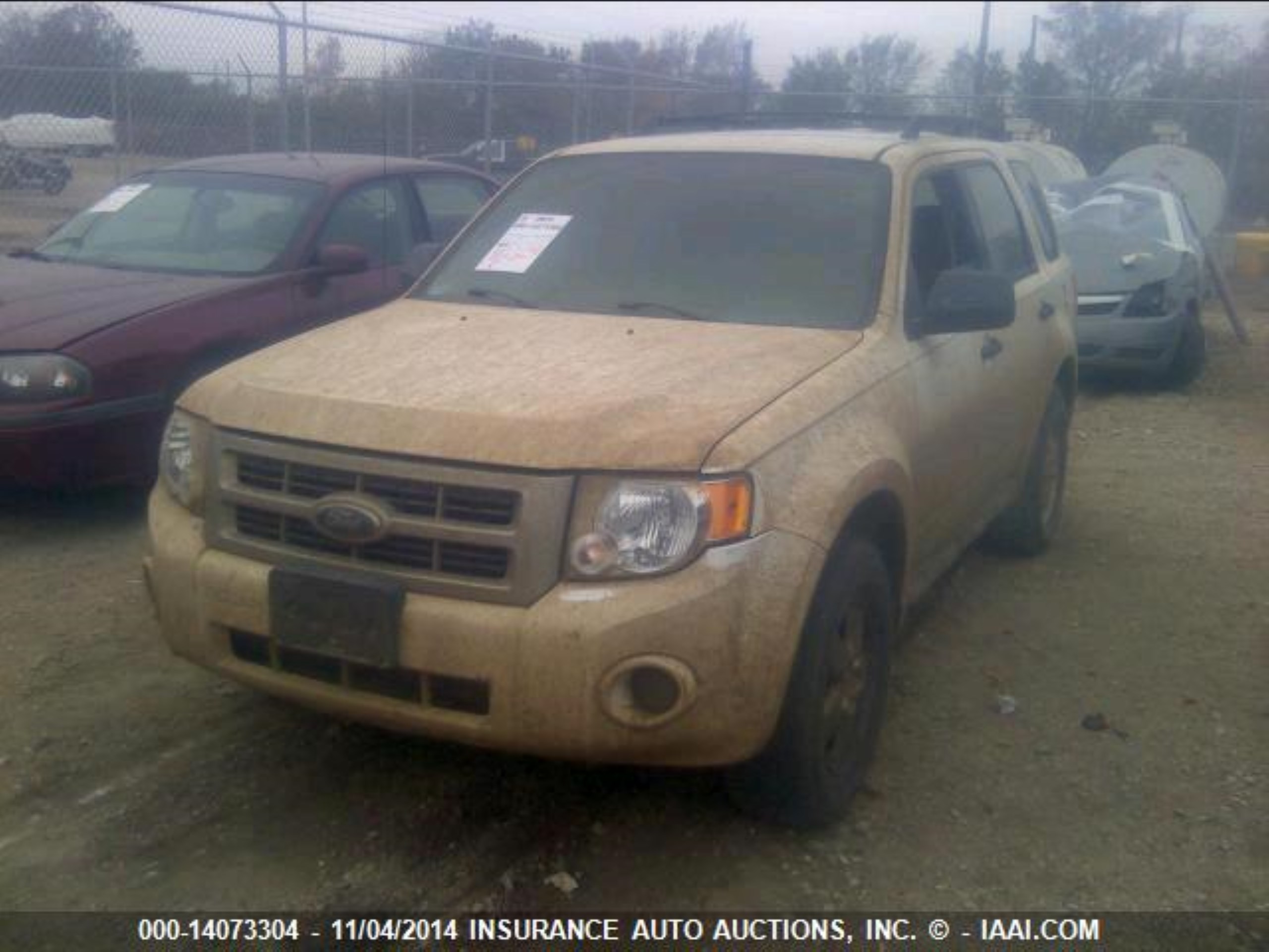 Photo 1 VIN: 1FMCU02769KB54561 - FORD ESCAPE 