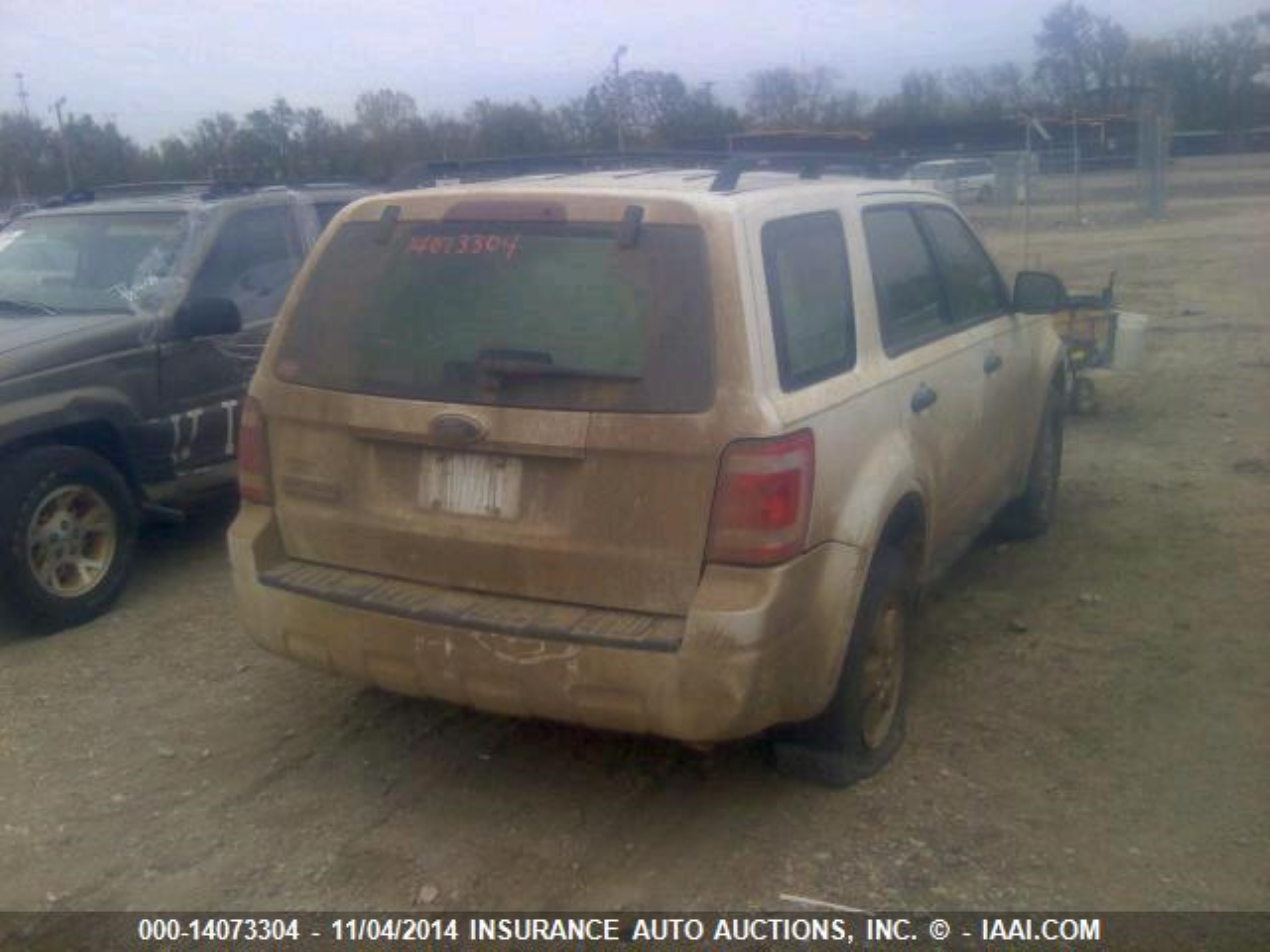 Photo 3 VIN: 1FMCU02769KB54561 - FORD ESCAPE 