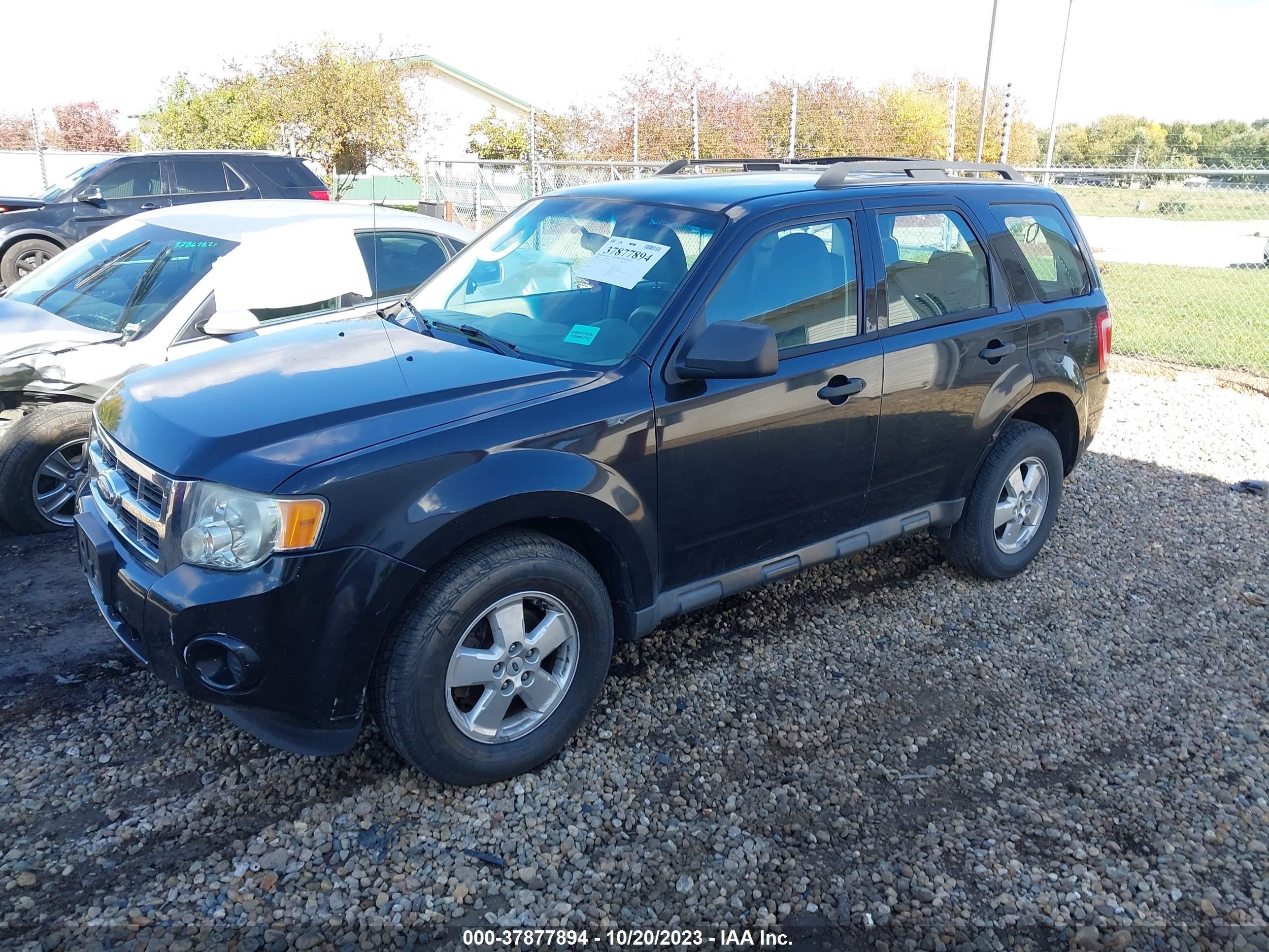 Photo 1 VIN: 1FMCU02769KC81696 - FORD ESCAPE 