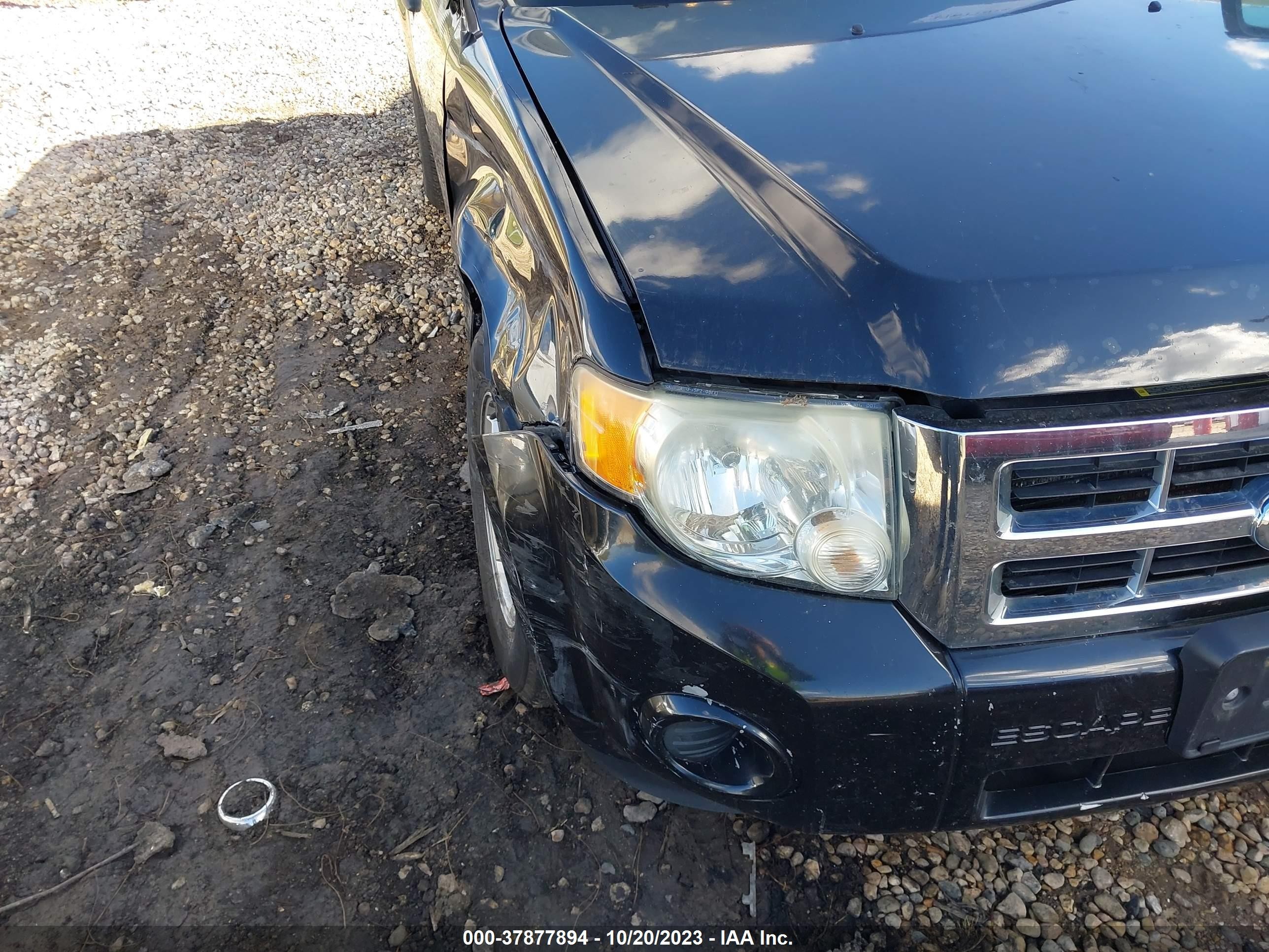 Photo 11 VIN: 1FMCU02769KC81696 - FORD ESCAPE 