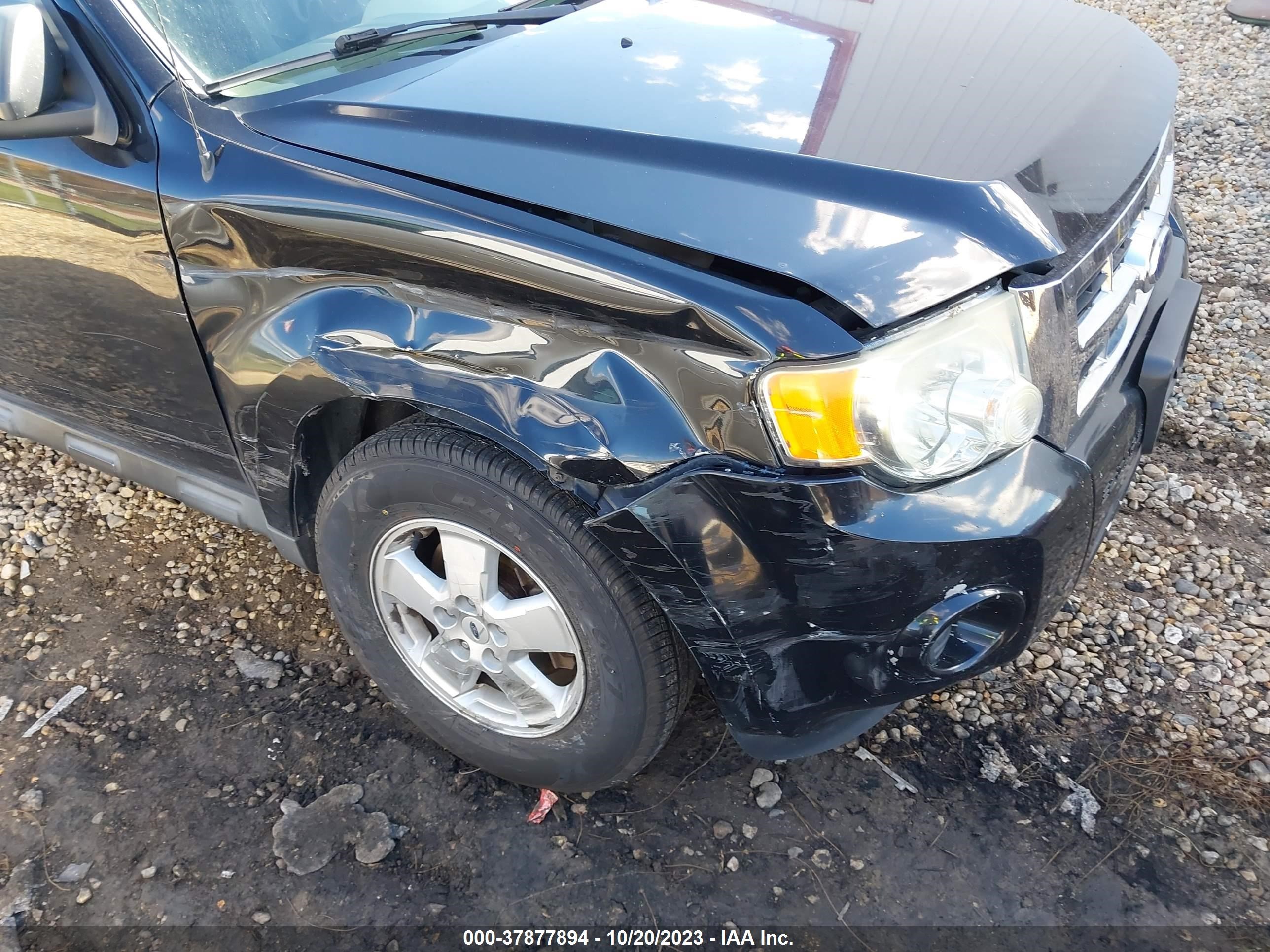 Photo 5 VIN: 1FMCU02769KC81696 - FORD ESCAPE 