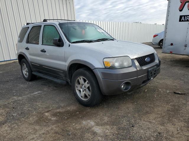 Photo 3 VIN: 1FMCU03135KC29298 - FORD ESCAPE 