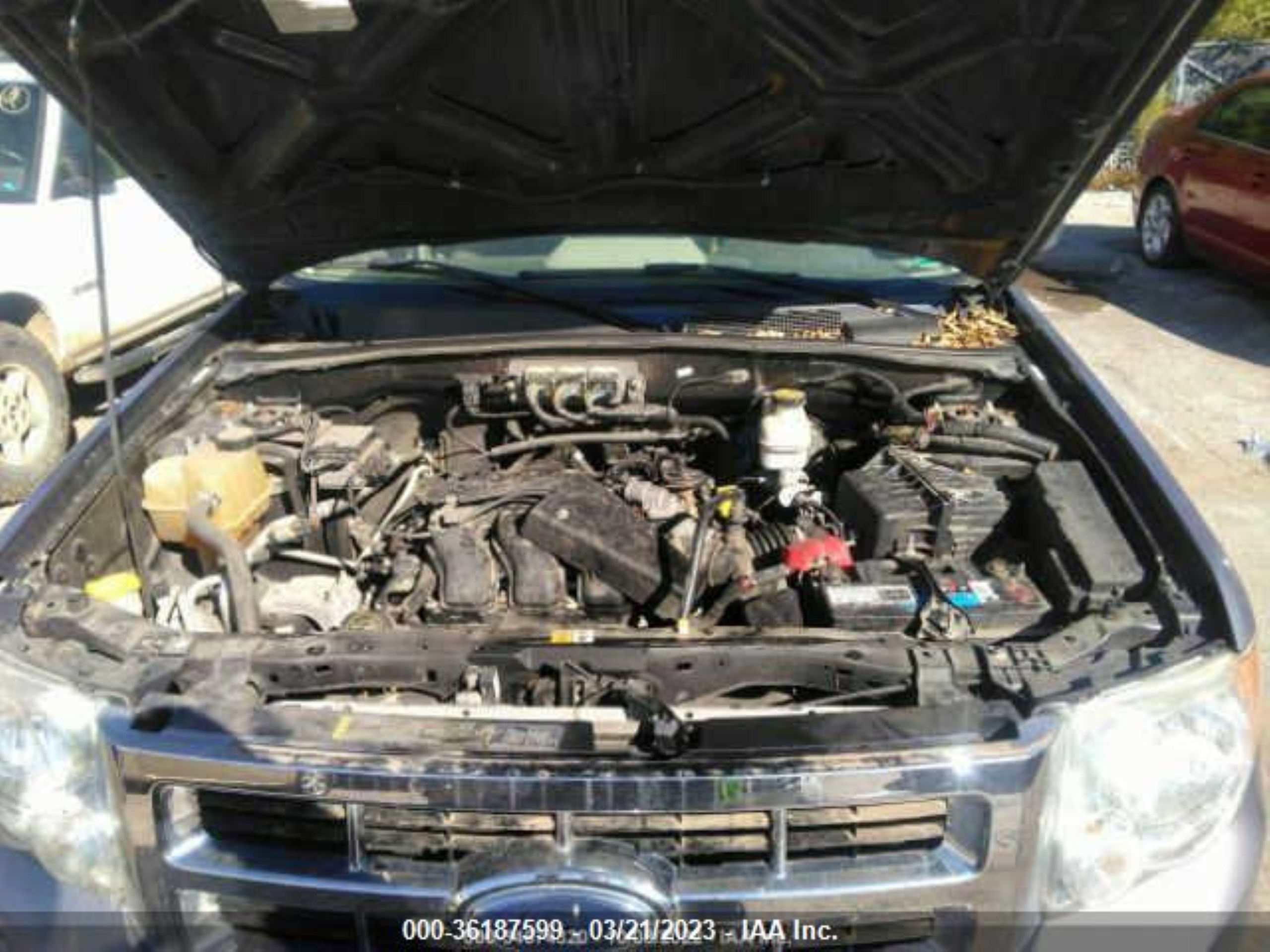 Photo 9 VIN: 1FMCU03148KA38106 - FORD ESCAPE 