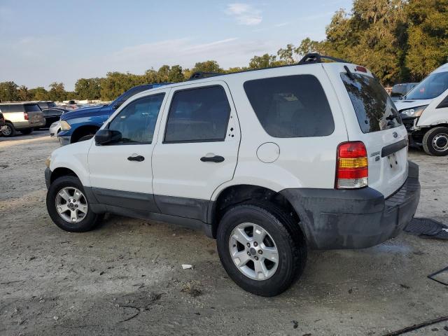 Photo 1 VIN: 1FMCU03166KA84579 - FORD ESCAPE XLT 