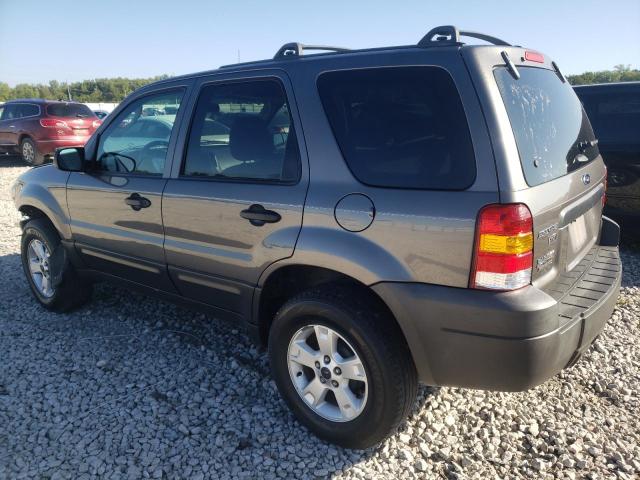 Photo 1 VIN: 1FMCU03195DA14058 - FORD ESCAPE 