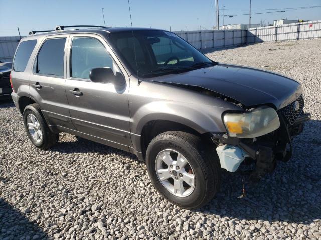 Photo 3 VIN: 1FMCU03195DA14058 - FORD ESCAPE 