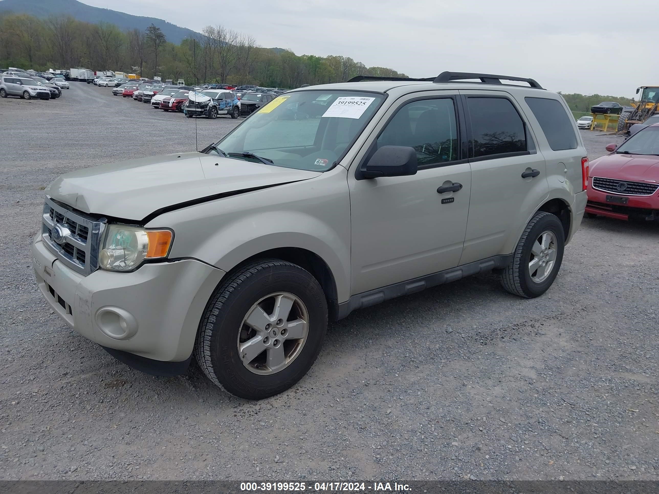 Photo 1 VIN: 1FMCU03709KA92119 - FORD ESCAPE 