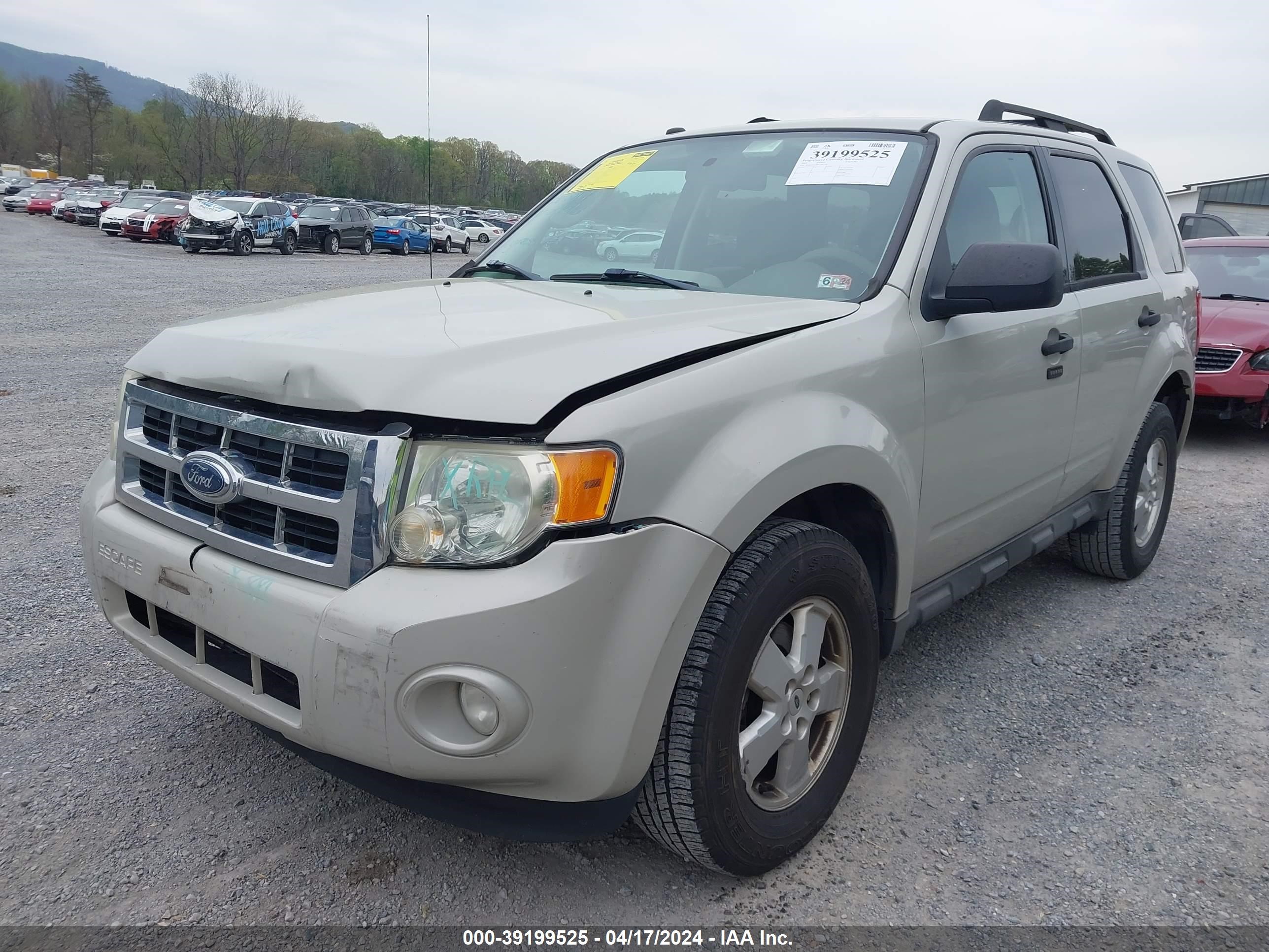 Photo 5 VIN: 1FMCU03709KA92119 - FORD ESCAPE 