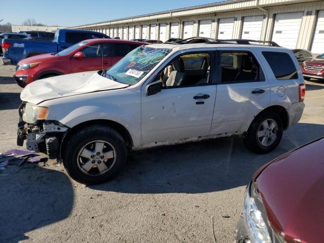 Photo 0 VIN: 1FMCU03719KB70746 - FORD ESCAPE 