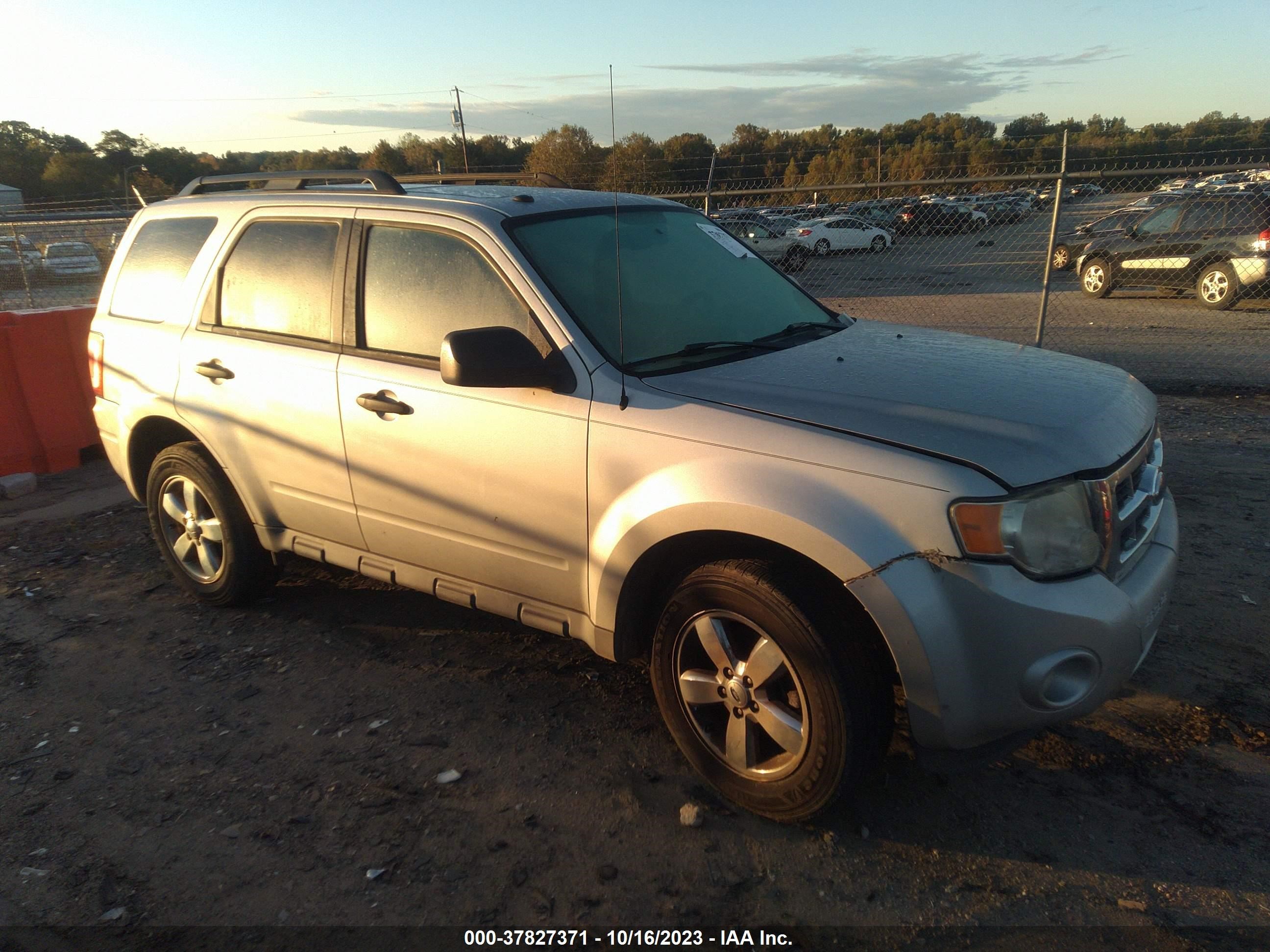 Photo 0 VIN: 1FMCU03729KB01693 - FORD ESCAPE 