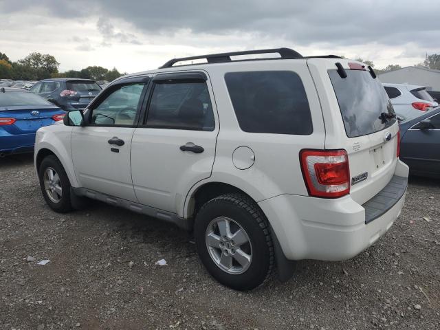 Photo 1 VIN: 1FMCU03799KC38792 - FORD ESCAPE XLT 