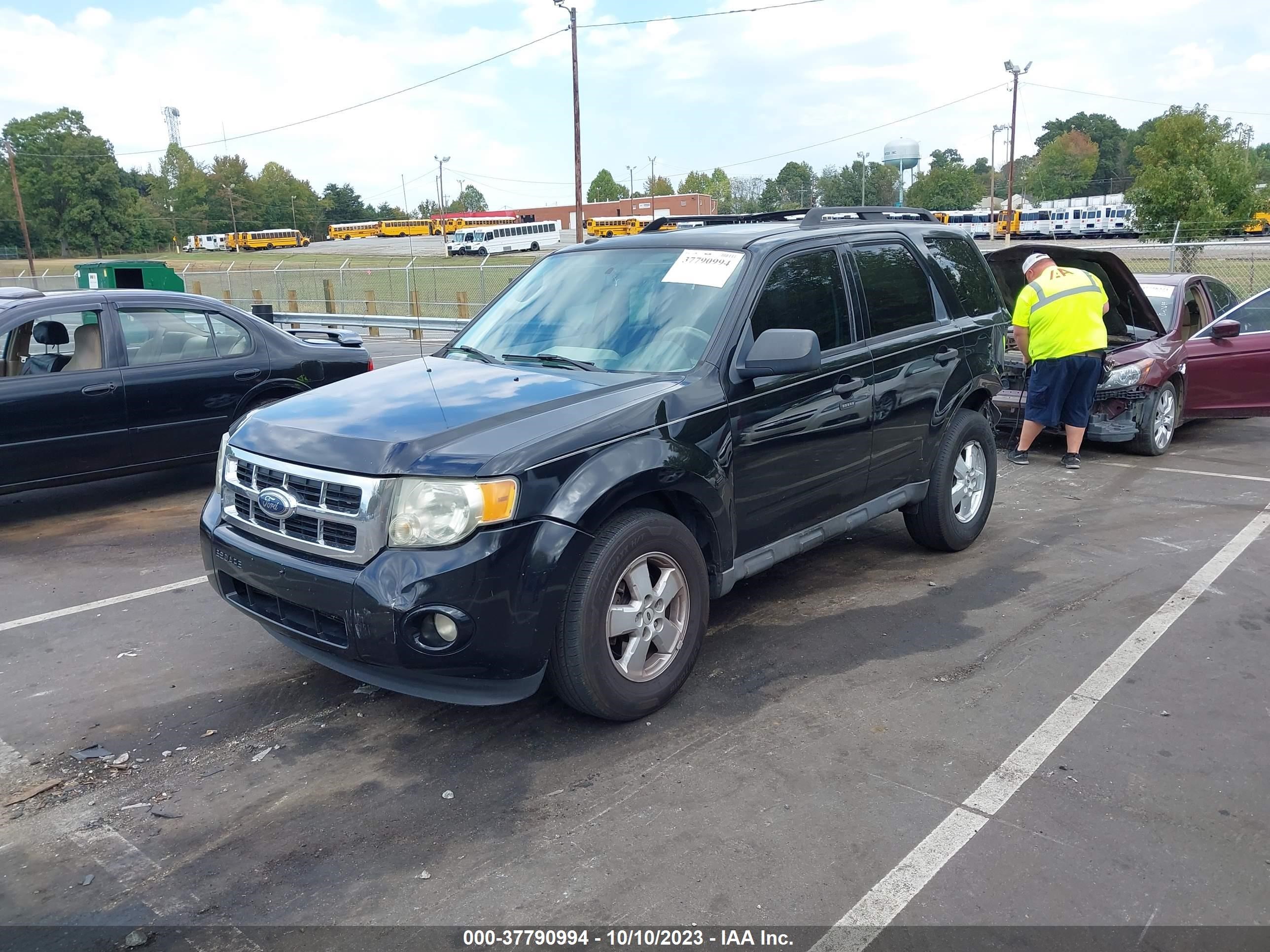 Photo 1 VIN: 1FMCU03G09KB78529 - FORD ESCAPE 