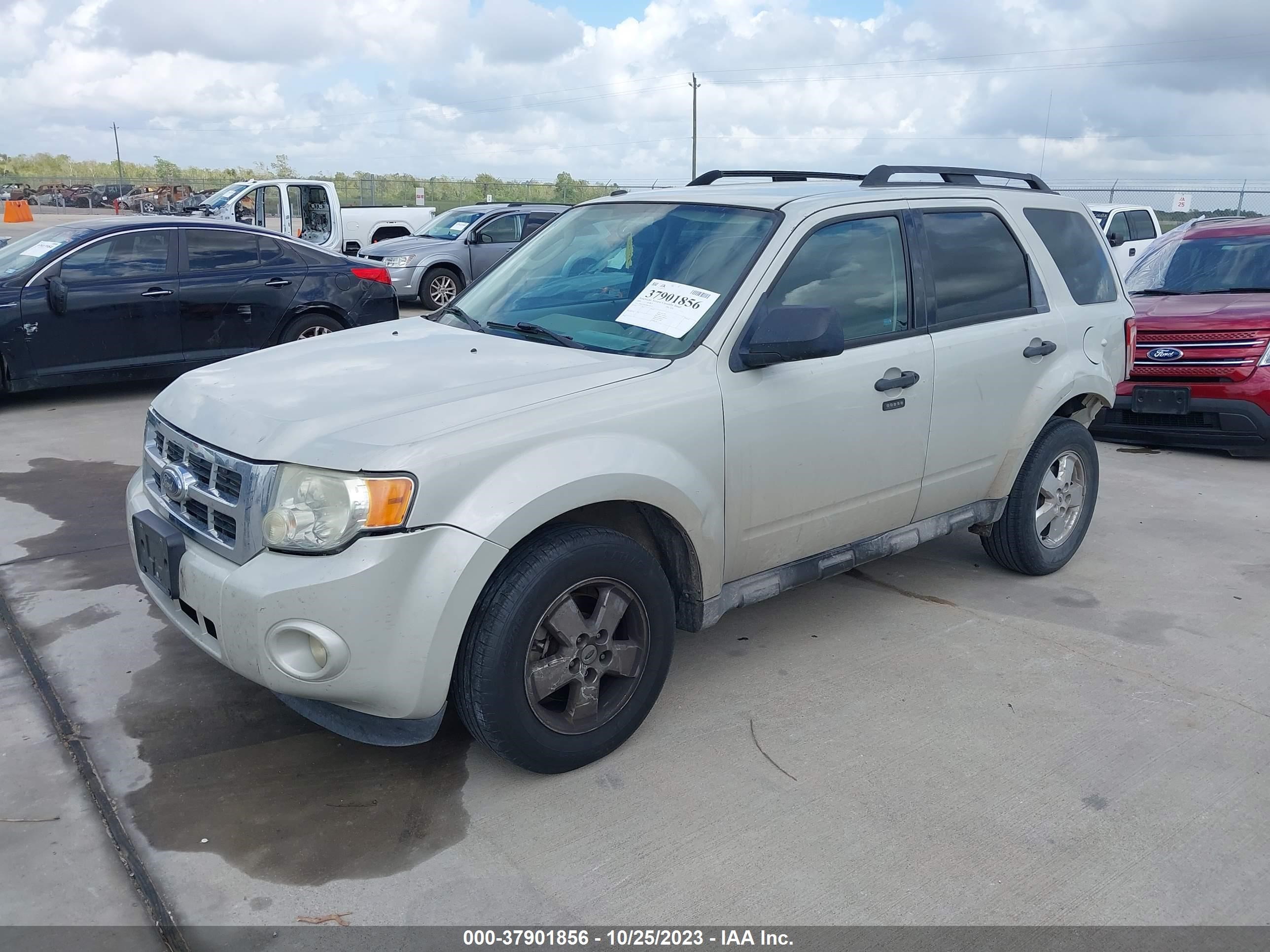 Photo 1 VIN: 1FMCU03G19KA34133 - FORD ESCAPE 