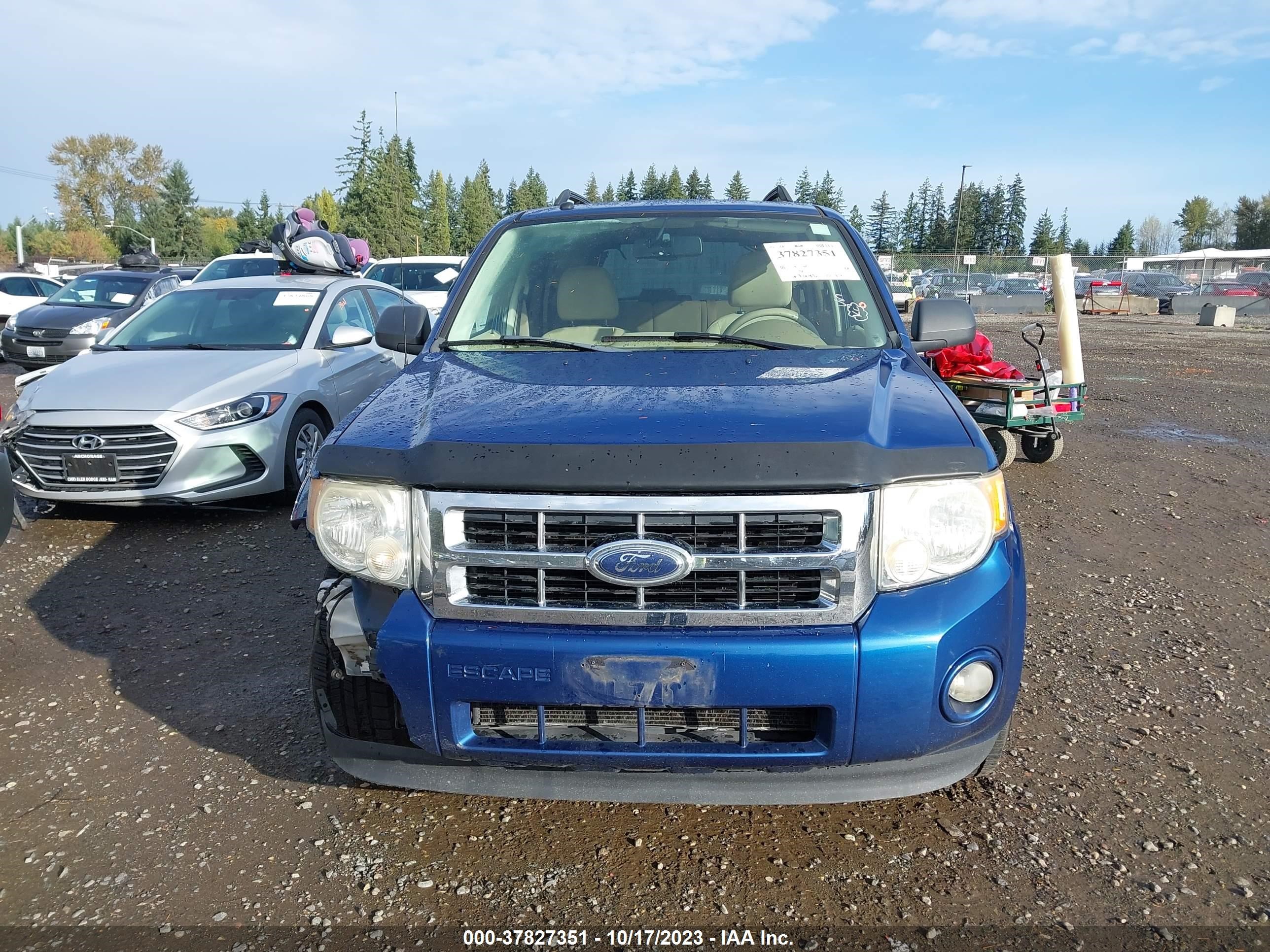 Photo 11 VIN: 1FMCU03Z78KE31359 - FORD ESCAPE 