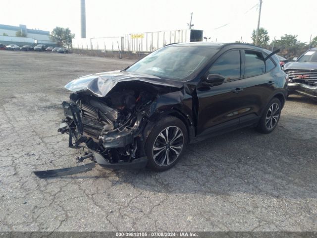 Photo 1 VIN: 1FMCU0BZ6MUA94666 - FORD ESCAPE 