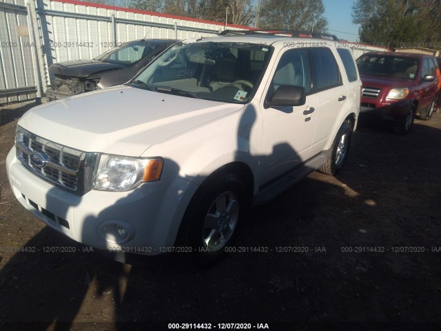 Photo 1 VIN: 1FMCU0D70BKB43980 - FORD ESCAPE 