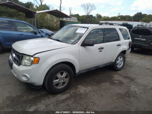 Photo 1 VIN: 1FMCU0D72BKB05764 - FORD ESCAPE 