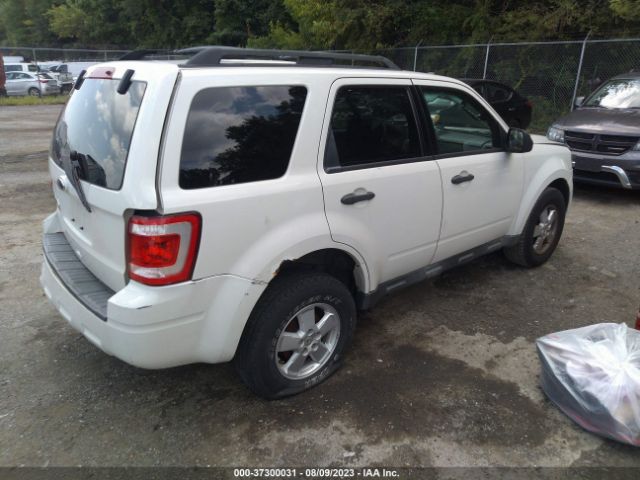 Photo 3 VIN: 1FMCU0D72BKB05764 - FORD ESCAPE 