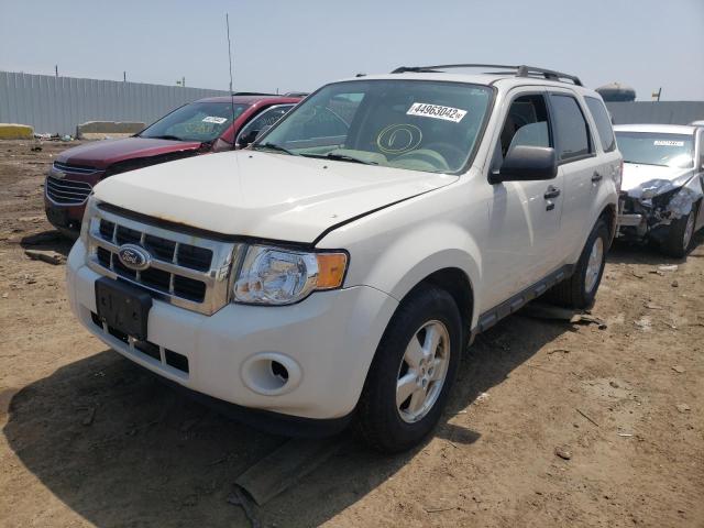 Photo 1 VIN: 1FMCU0D74BKA66854 - FORD ESCAPE XLT 