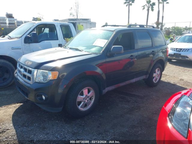 Photo 1 VIN: 1FMCU0D74BKB14529 - FORD ESCAPE 