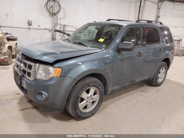 Photo 1 VIN: 1FMCU0D75BKA42644 - FORD ESCAPE 